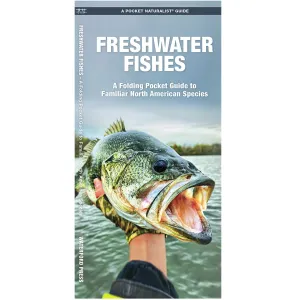 Pocket Naturalist Guide: Freshwater Fishes